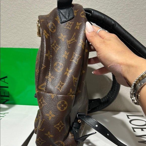 Louis Vuitton Palm Springs Monogram Brown Backpack - Damaged - Picture 7 of 15